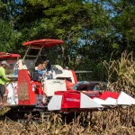 LOVOL RG108 PLUS Corn Harvester | Product Demo in Ifugao, Philippines