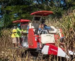 GRAINSCO Teamwork